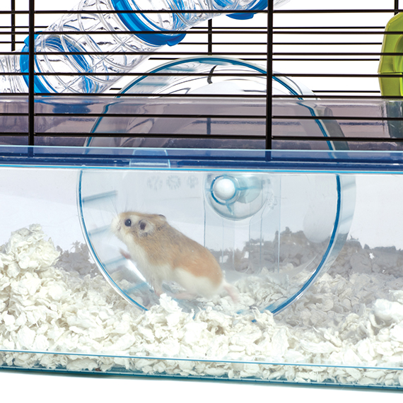 Fresh Look at Critterville Brisby Loft Hamster Home
