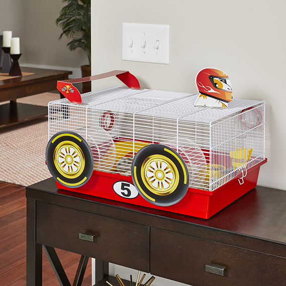 hamster race car