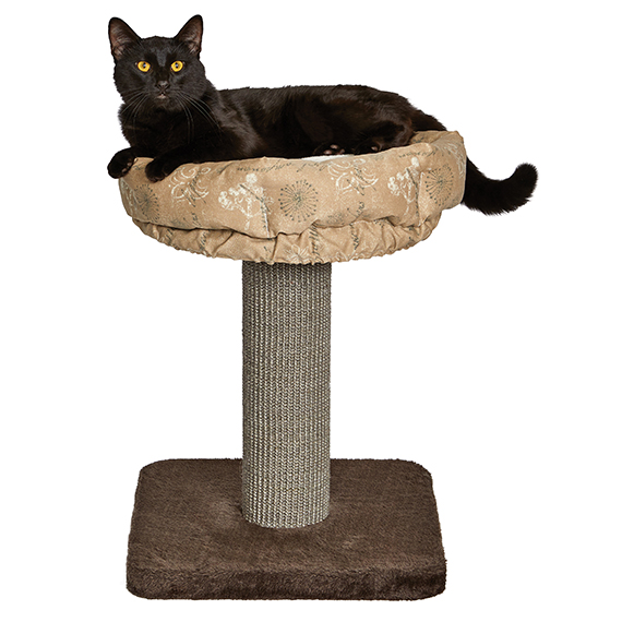 Feline Nuvo<sup>®</sup> Script Print Cat Furniture