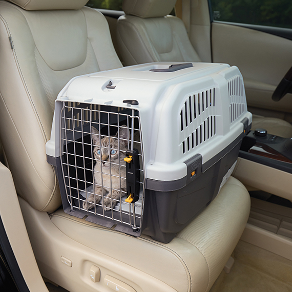 Skudo™ Cat Travel Carrier - MidWest
