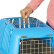 Spree™ Top Loading Pet Carrier