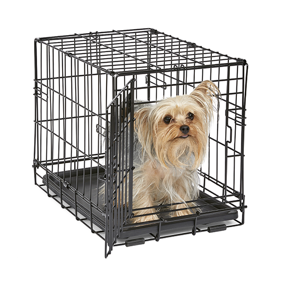 MidWest Homes for Pets Large Dog Crate | MidWest Life Stages Folding Metal  Dog Crate | Divider Panel, Floor Protecting Feet, Leak-Proof Dog Pan | 42L