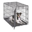 iCrate<sup>®</sup> Dog Crate