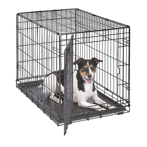 iCrate<sup>®</sup> Dog Crate