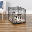 iCrate<sup>®</sup> Dog Crate