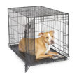 iCrate<sup>®</sup> Dog Crate