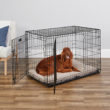 iCrate<sup>®</sup> Dog Crate