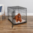 iCrate<sup>®</sup> Dog Crate