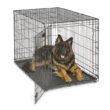 iCrate<sup>®</sup> Dog Crate