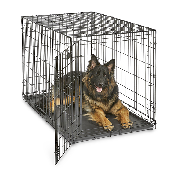iCrate<sup>®</sup> Dog Crate