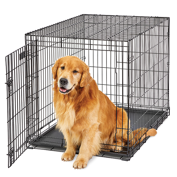 LifeStages<sup>®</sup> Dog Crate