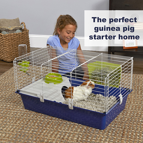 Critterville® Cleo Guinea Pig Home