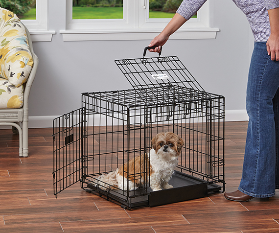 MIDWEST Ovation Single Door Collapsible Wire Dog Crate, 48-in 