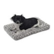 40622-SFB_dog copy