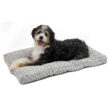 40642-SFB_dog copy
