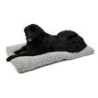 40648-SFB_dog copy