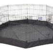 Exercise Pen Canvas Bottom