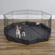 Exercise Pen Canvas Bottom