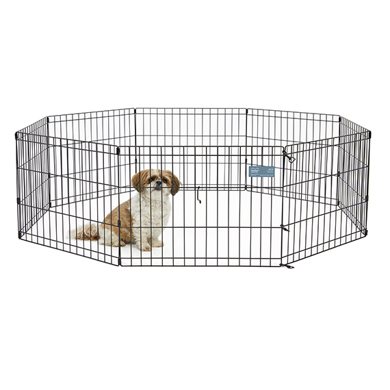 Exercise Pen