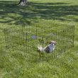 Exercise Pen with Door