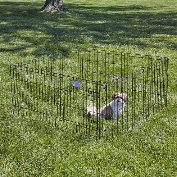 Exercise Pen with Door  MidWest Homes for Pets
