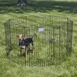 Exercise Pen with Door