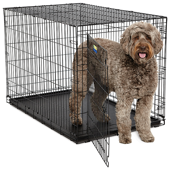 Contour<sup>®</sup> Dog Crate