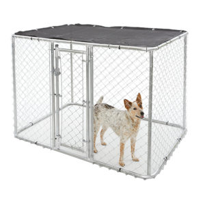 dog travel carrier crate