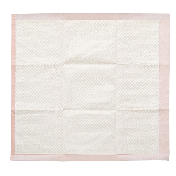 Dry Paws™ Training Pads Make Housetraining Easier MidWest Homes for