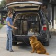 Solutions<sup>®</sup> Side-by-Side Double Door Dog Crate