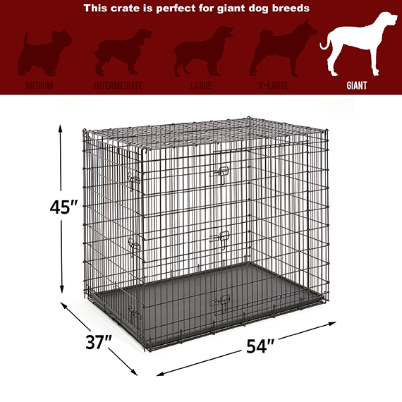 Dog Pet Training Transport crate Fold Flat cage Removable Tray Medium 30" DCUK 