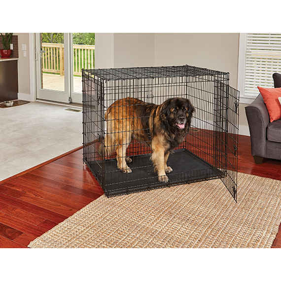 DIY dog crate for large breed dogs - 100 Things 2 Do