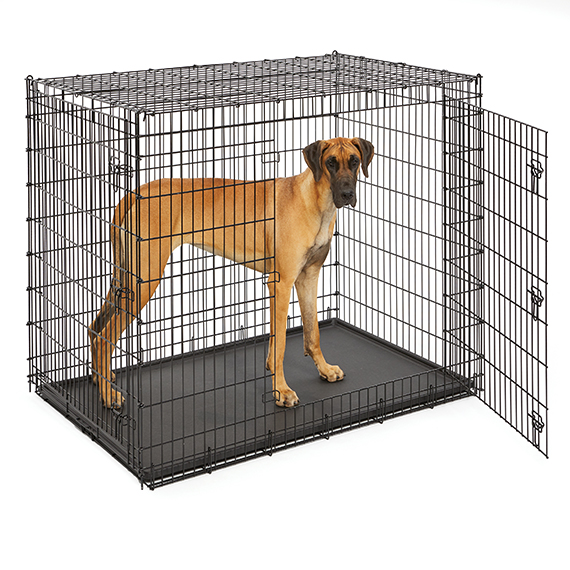 what is the best bedding for a dog kennel