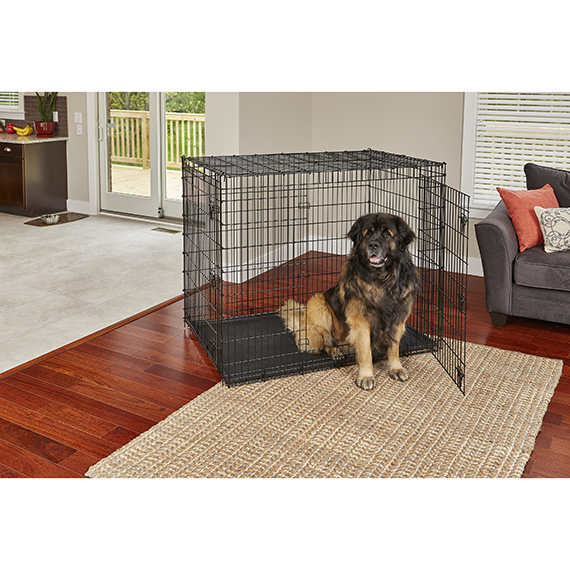 VIBRANT LIFE 36 CAGE POUR CHIEN 2 PORTES 