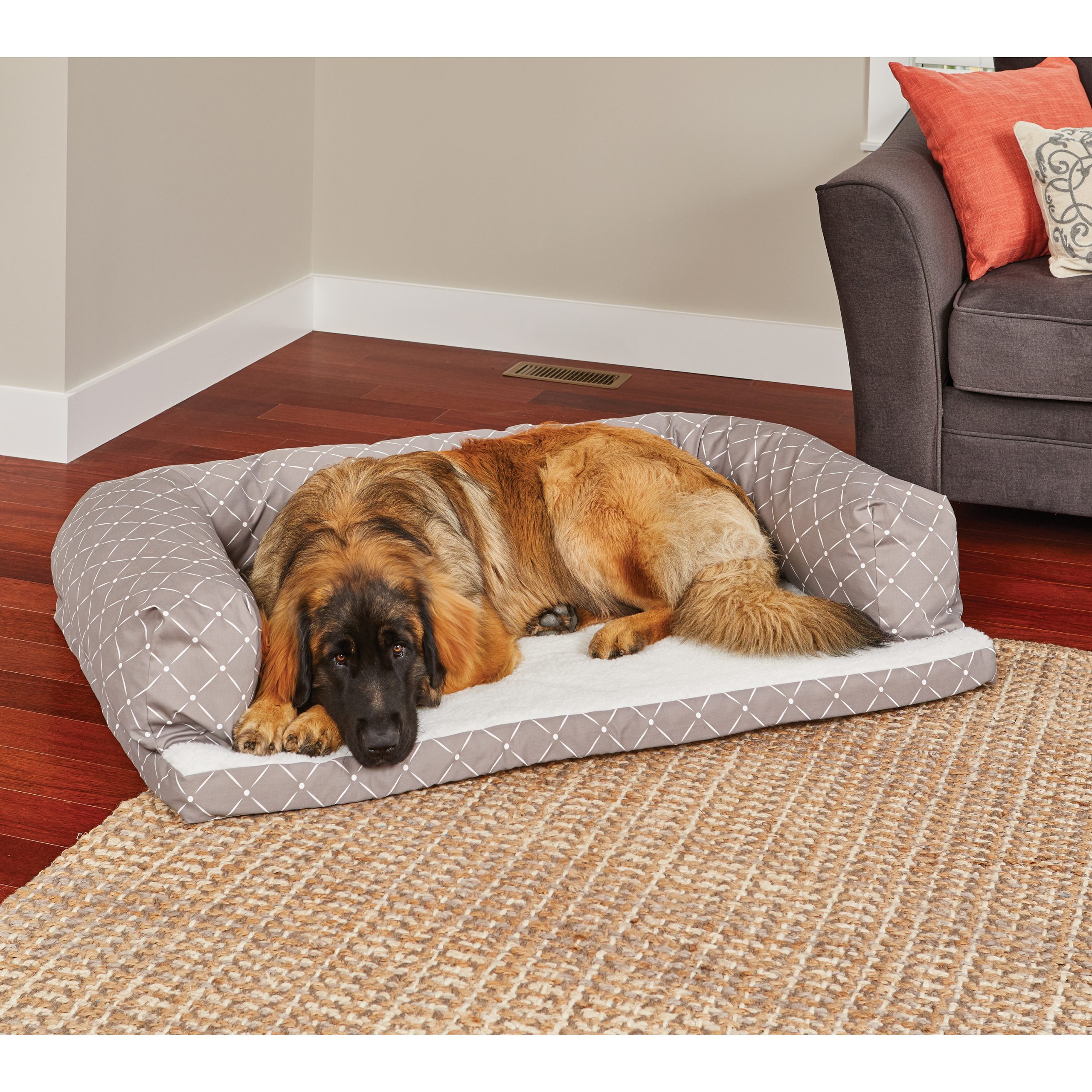 How Do I Choose A Puppy Bed