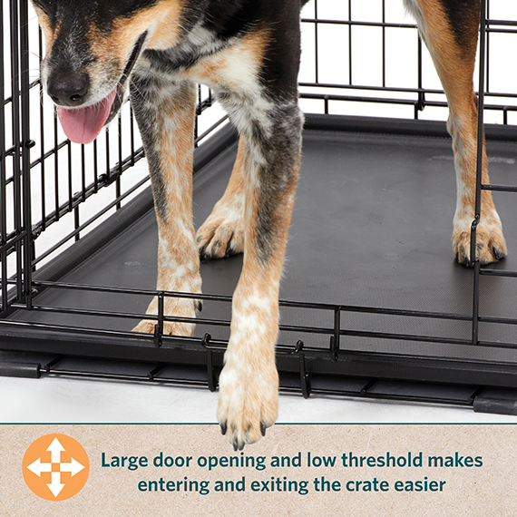 Door Buddy®: Door Latch Plus Door Stopper to Dog Proof Litter Box